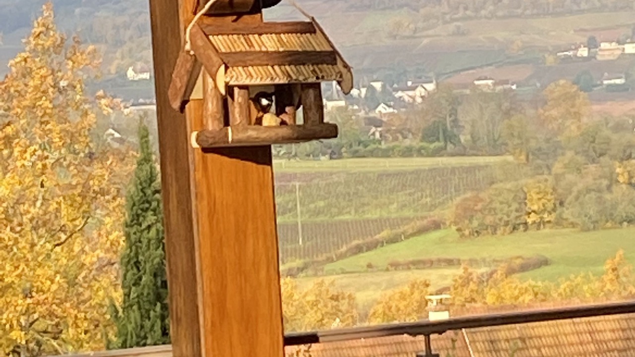 Photo of Outdoor in Mellecey