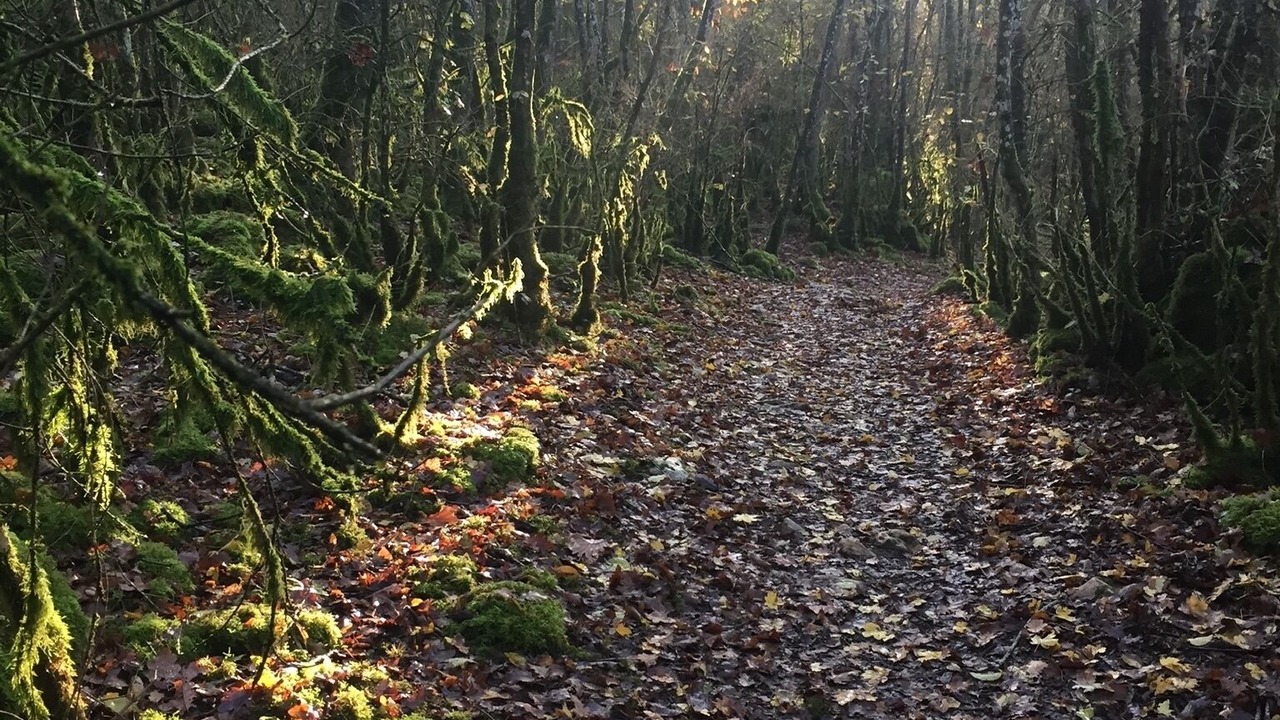 Photo of Others in Mellecey