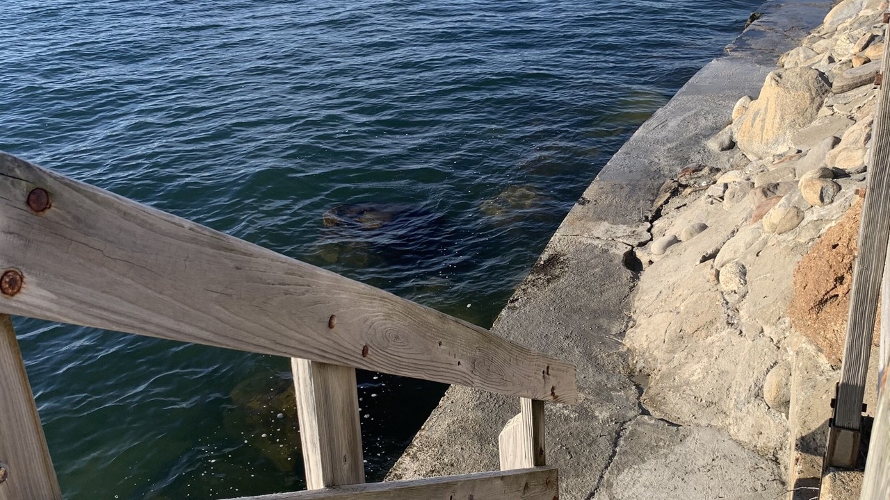 Photo of Others in Clinton