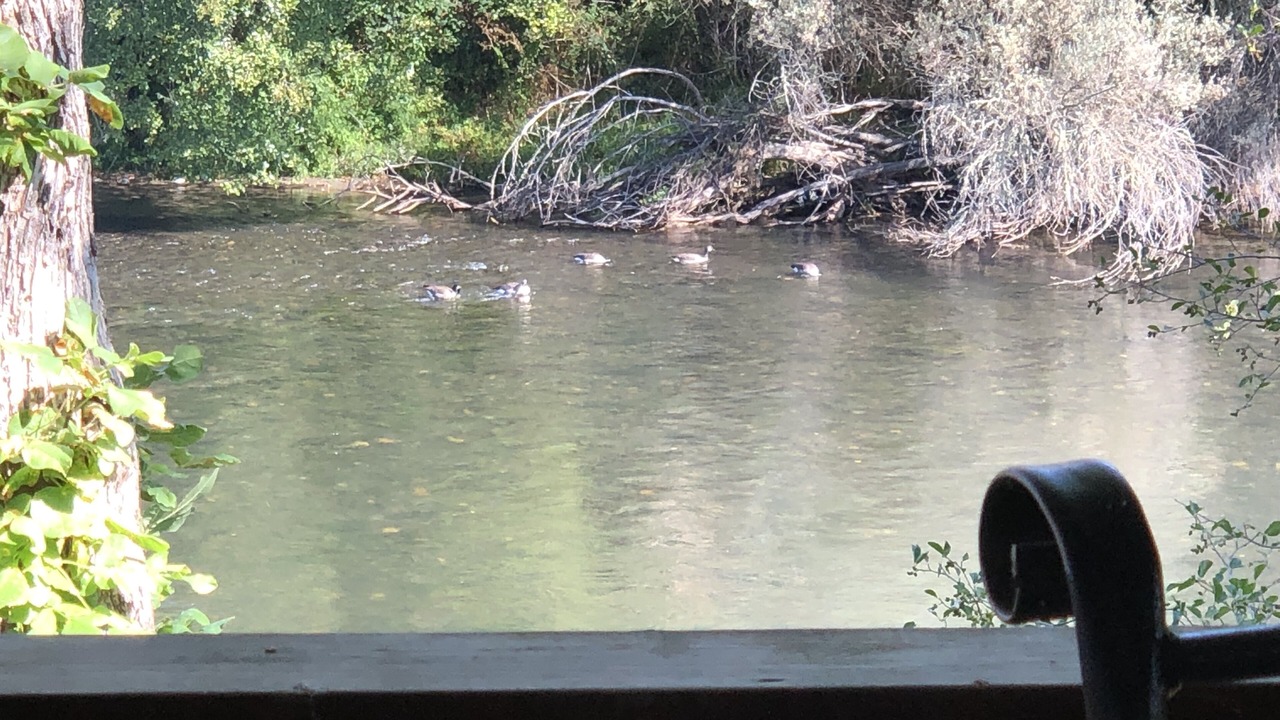 Photo of Others in Gold Hill