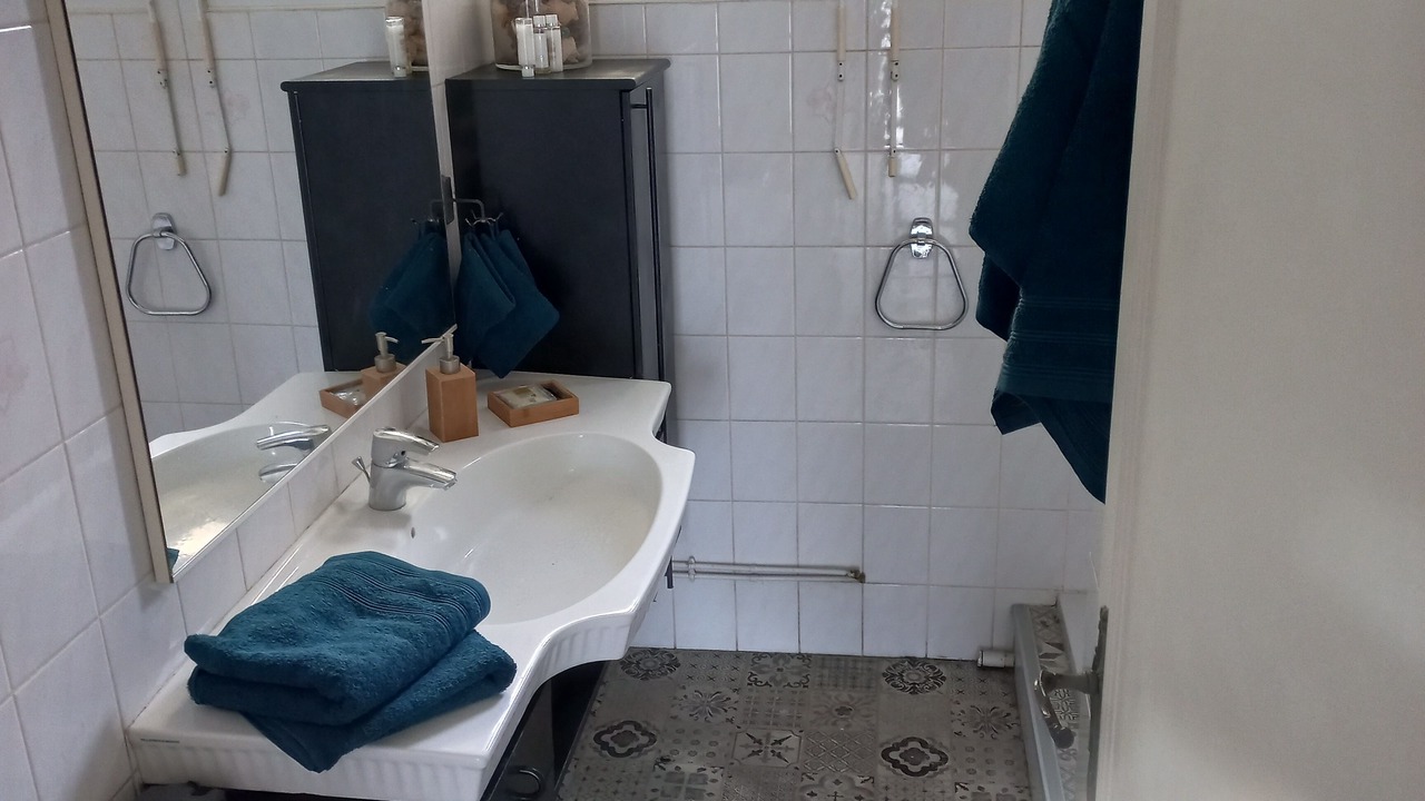 Photo of Bathroom in Saint-Sebastien-sur-Loire