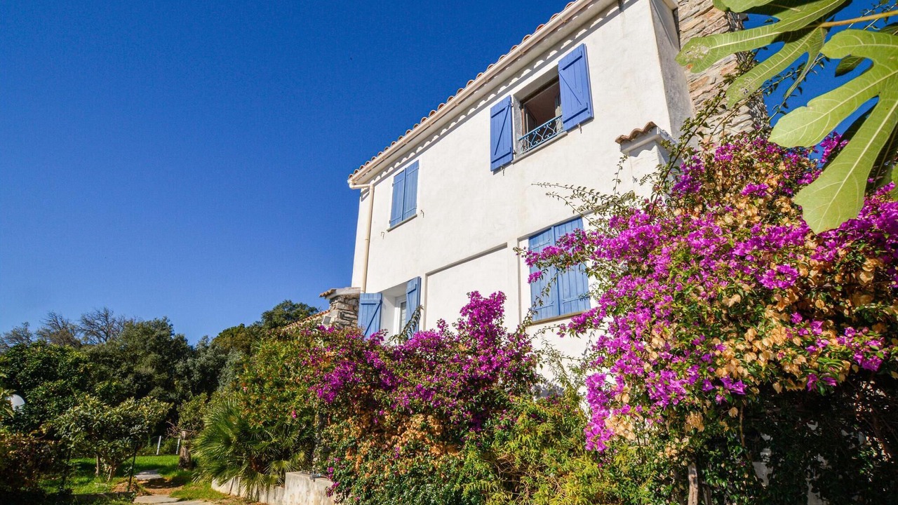 Photo of Others in Sant'Andrea-di-Cotone