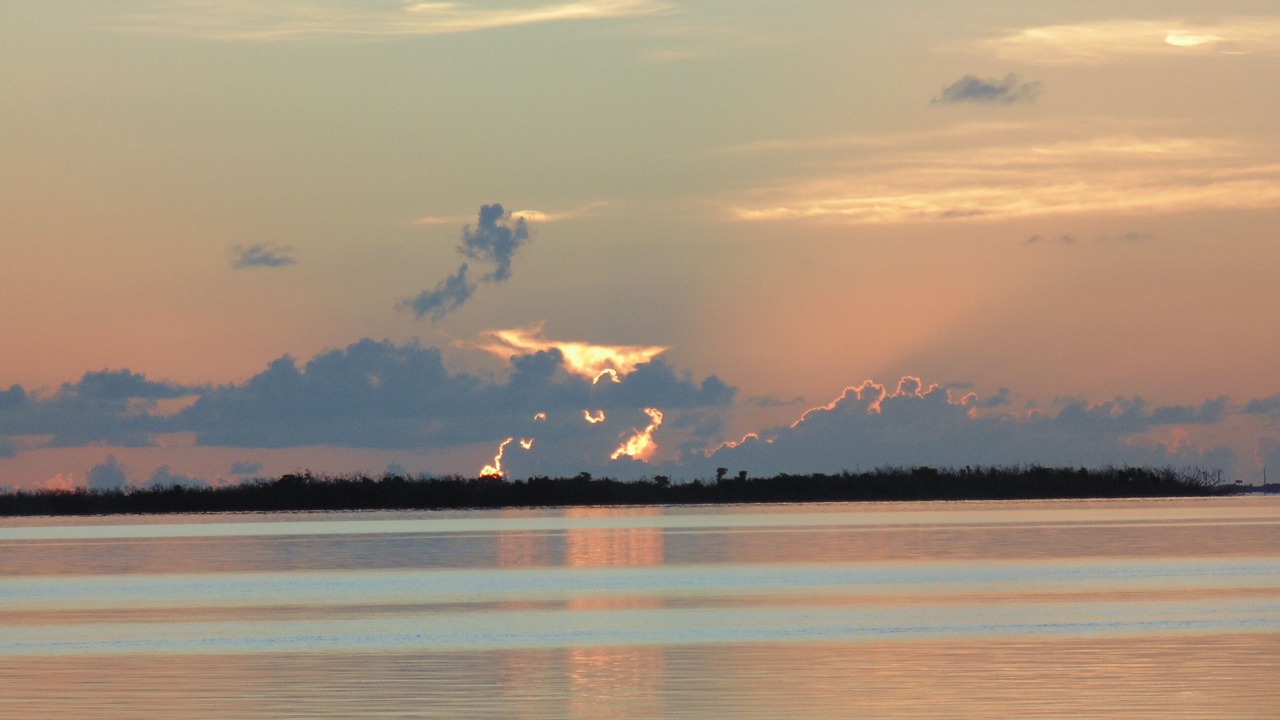 Photo of Others in Coupon Bight Aquatic Preserve