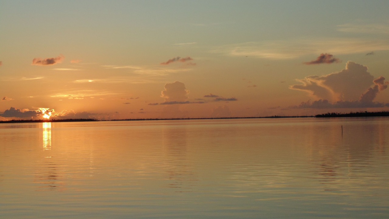 Photo of Outdoor in Coupon Bight Aquatic Preserve