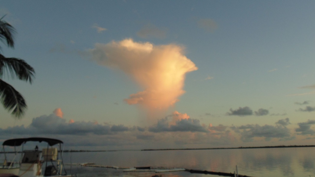 Photo of Others in Coupon Bight Aquatic Preserve