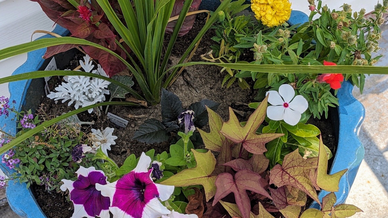 Photo of Outdoor in Washington