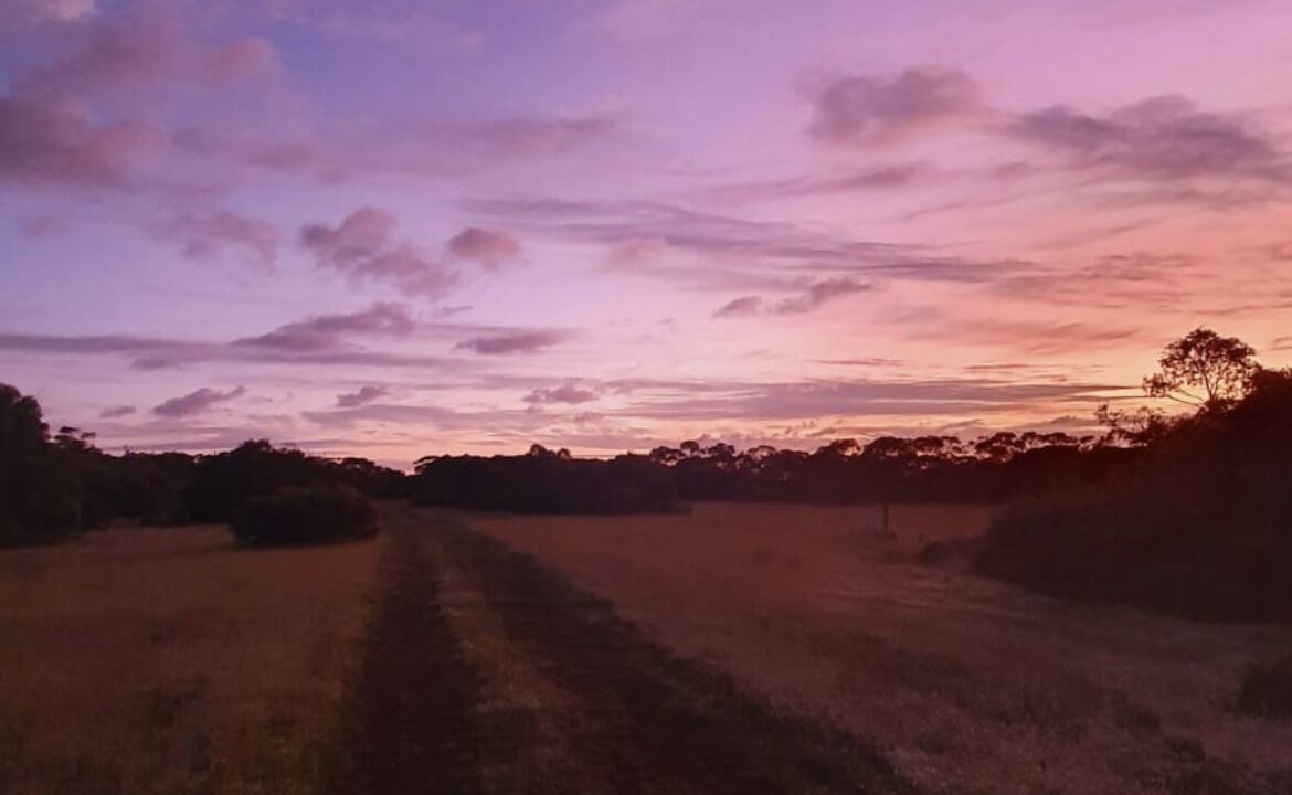 Photo of Others in Coonarie