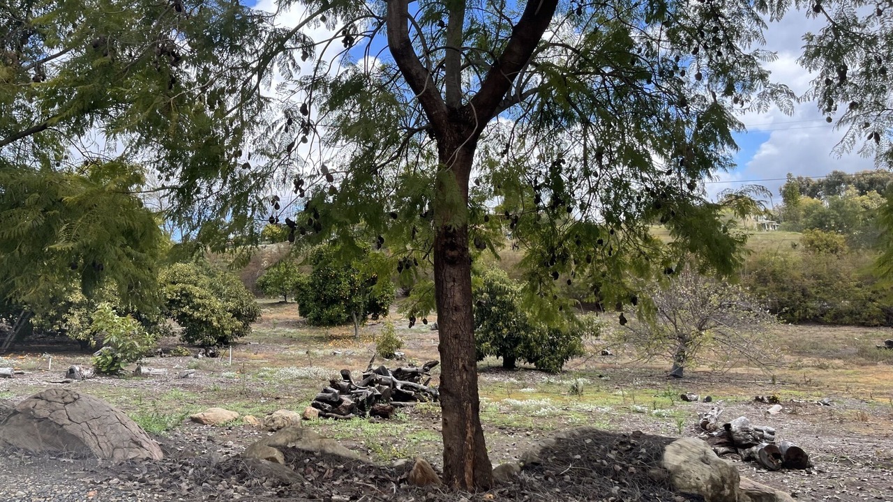 Photo of Outdoor in Fallbrook