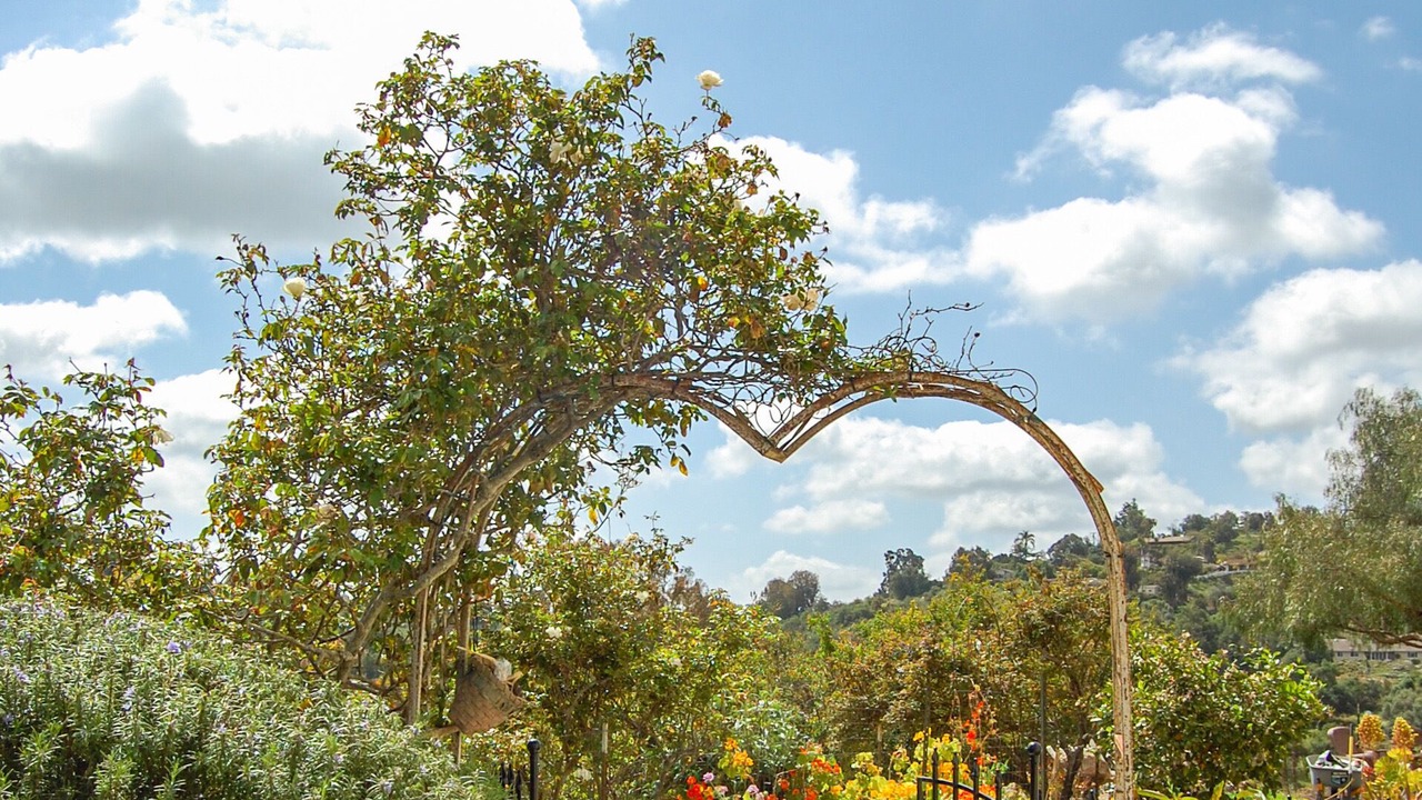 Photo of Outdoor in Fallbrook