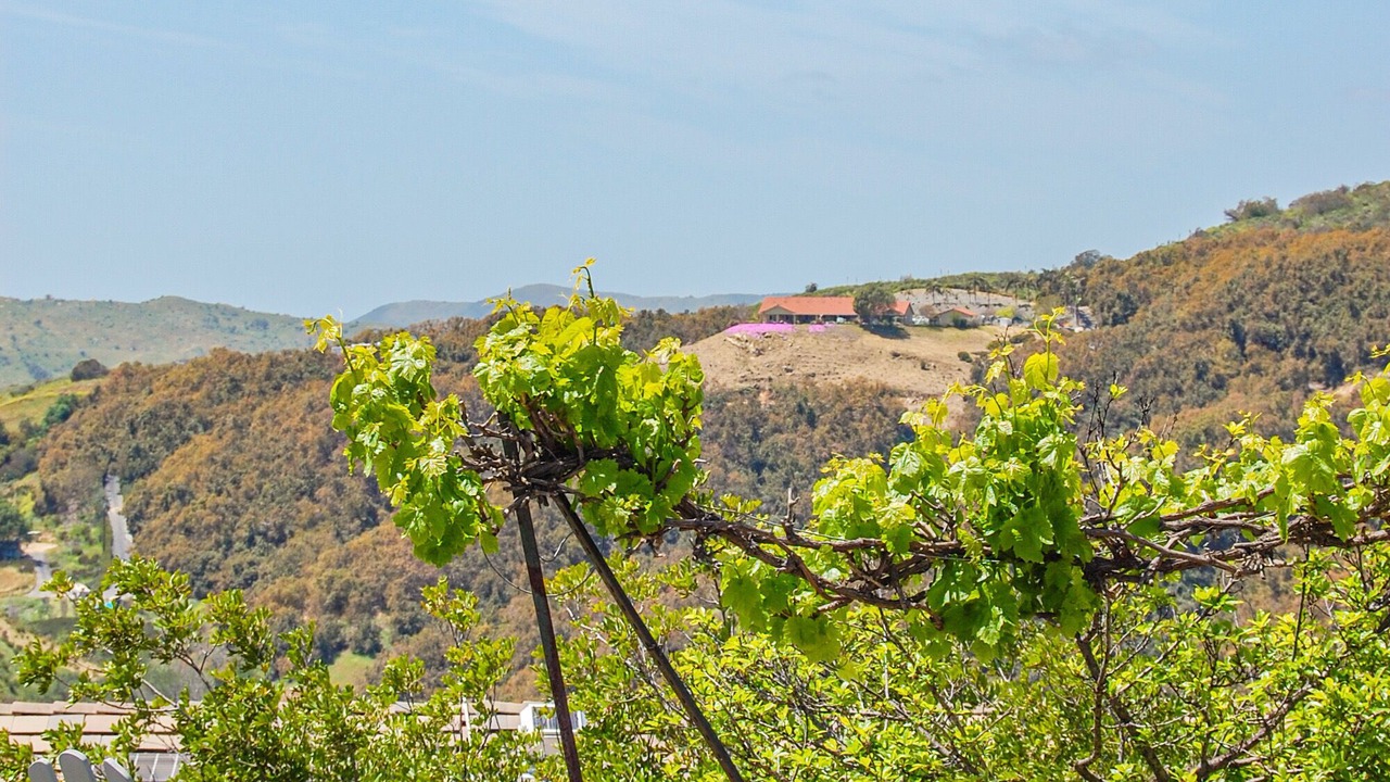 Photo of Outdoor in Fallbrook