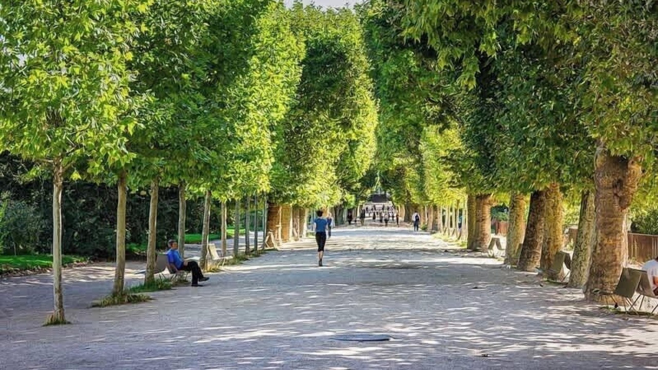 Photo of Others in Jardin des plantes