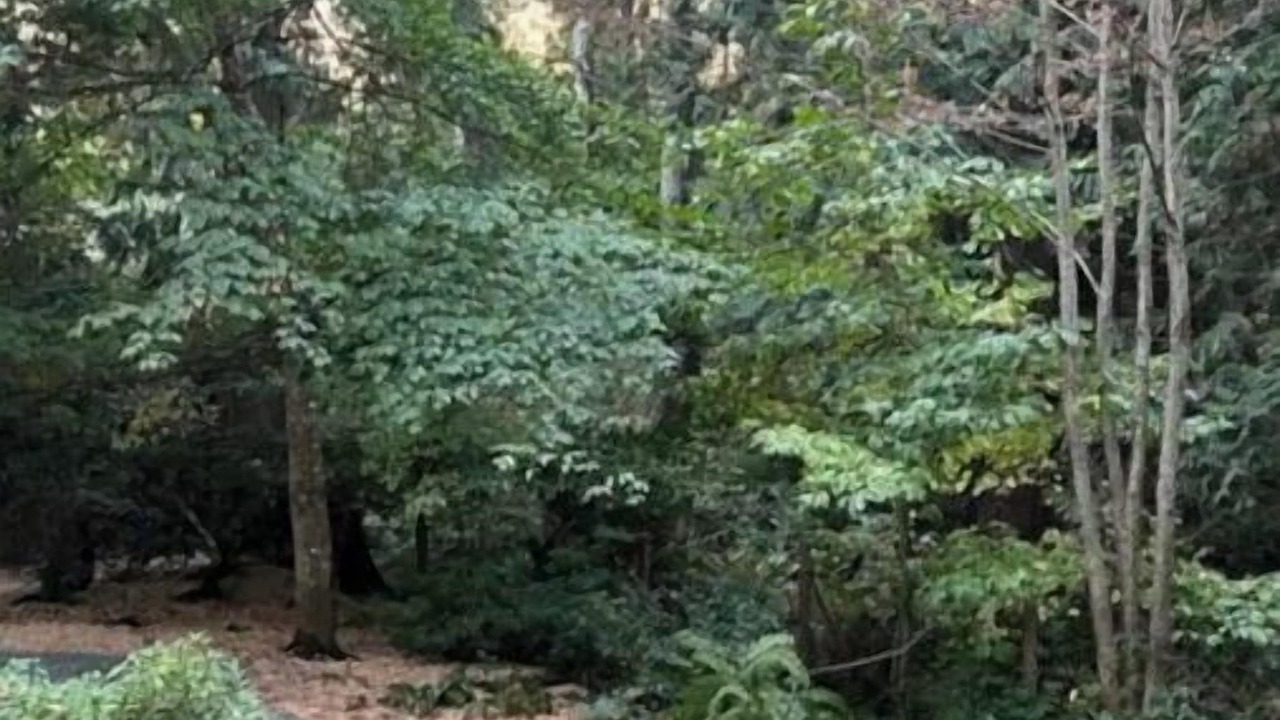 Photo of Outdoor in Geneva