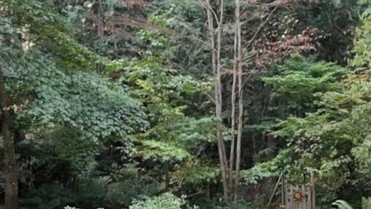 Photo of Outdoor in Geneva