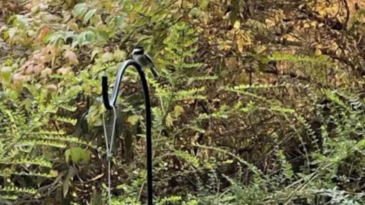 Photo of Outdoor in Geneva