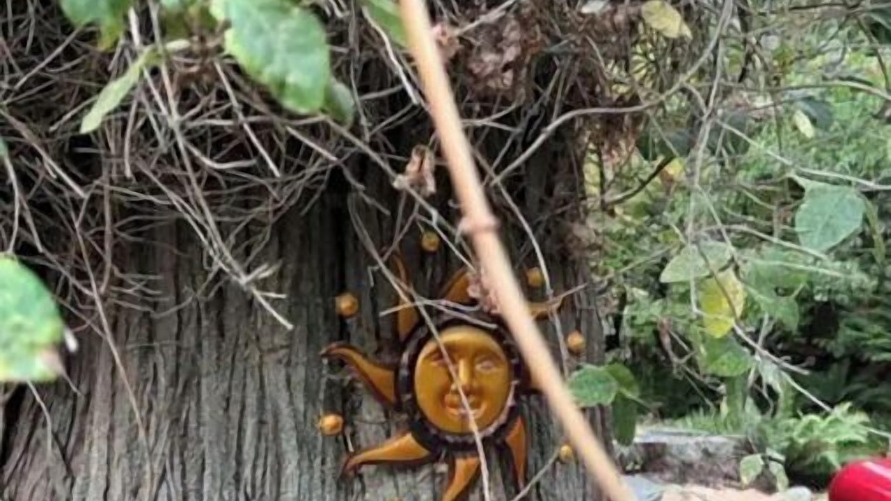 Photo of Outdoor in Geneva