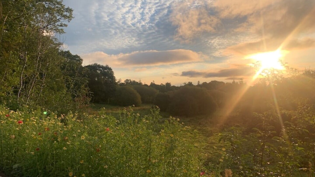 Photo of Outdoor in Alexandria