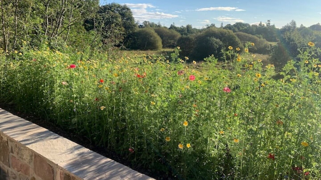 Photo of Outdoor in Alexandria