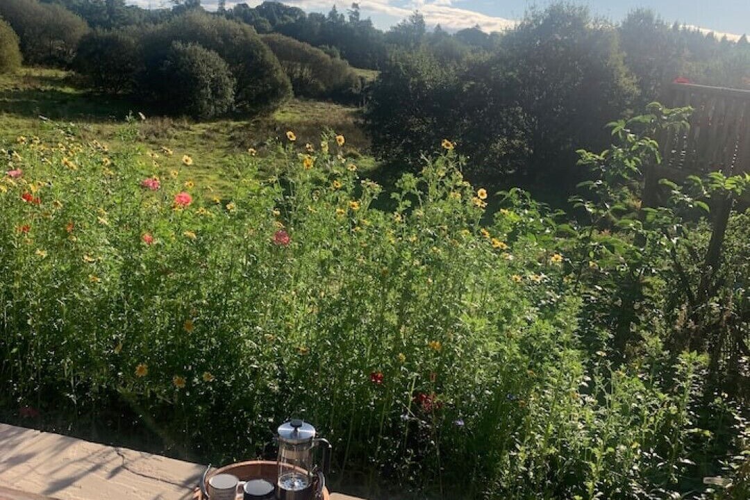 Photo of Outdoor in Alexandria