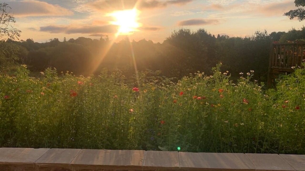 Photo of Outdoor in Alexandria