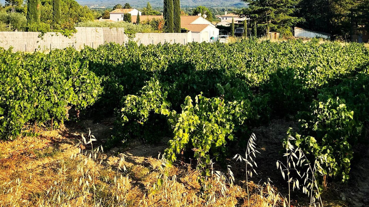 Photo of Outdoor in Pertuis