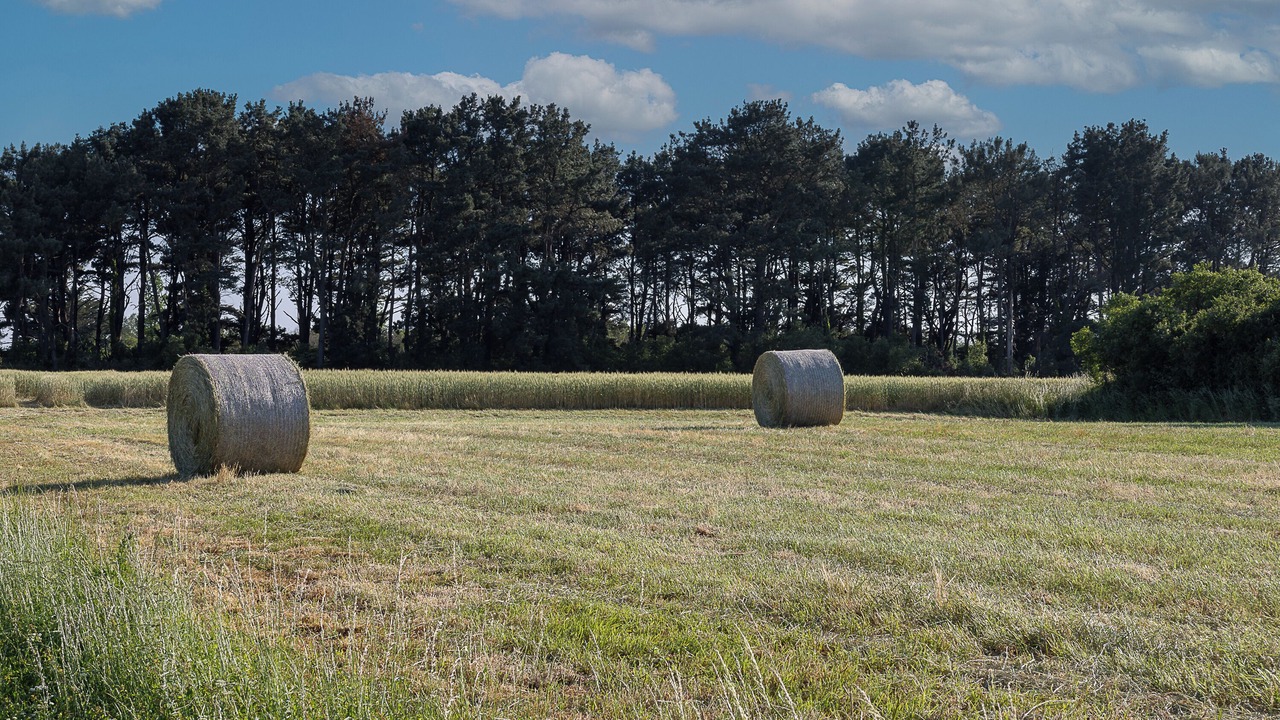 Photo of Others in Le Fenouiller