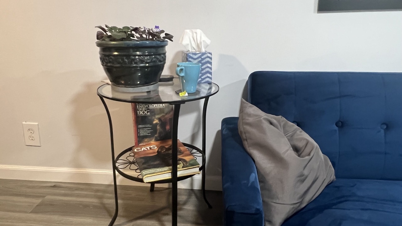 Photo of Livingroom in Bethlehem