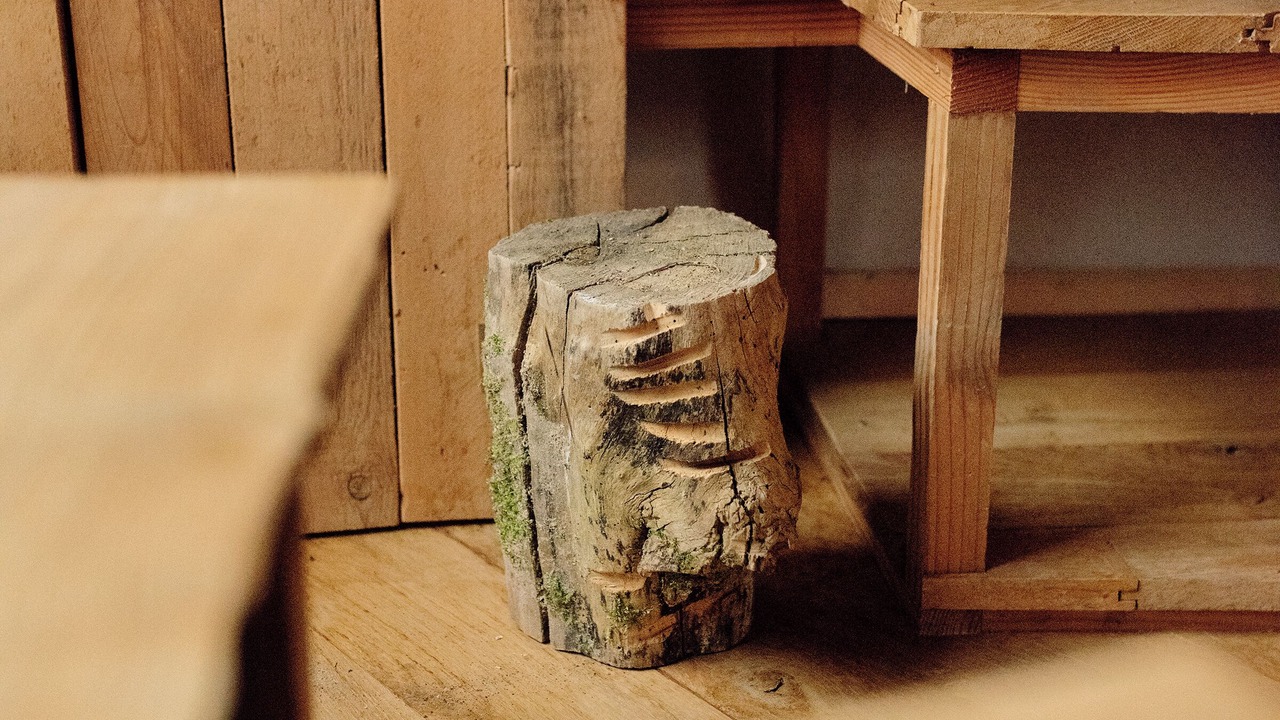 Photo of Others in L'Isle-Bouzon