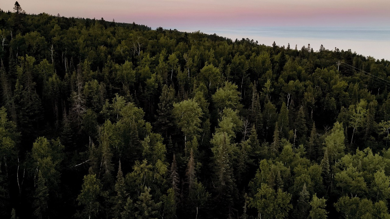 Photo of Outdoor in Beaver Bay