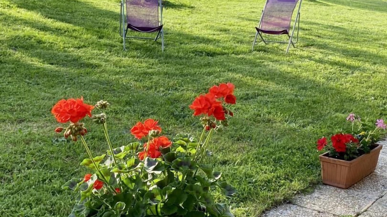 Photo of Outdoor in Sivignon