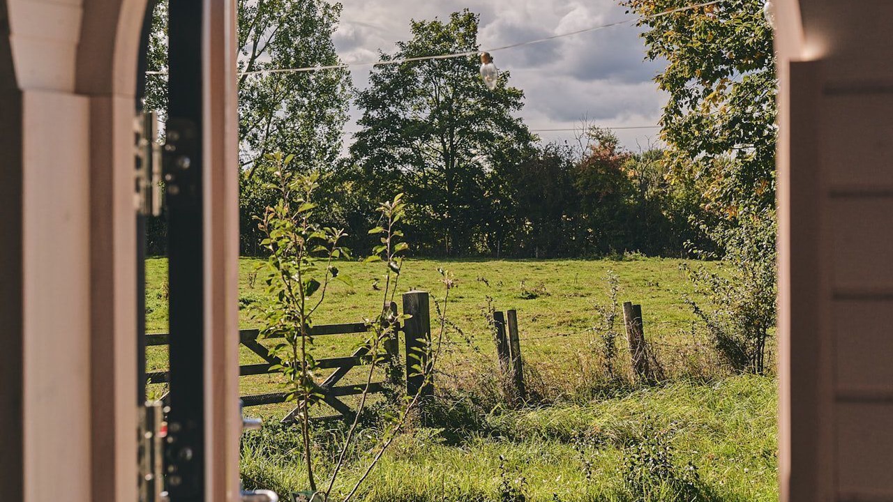 Photo of Others in Muchelney