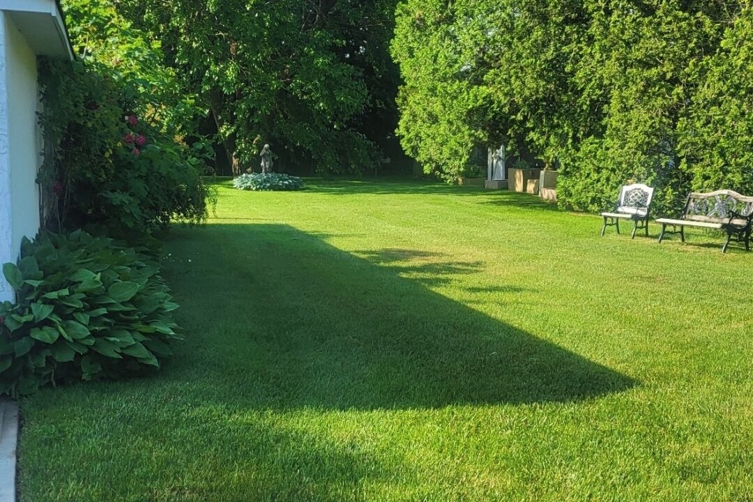 Photo of Outdoor in Shirley