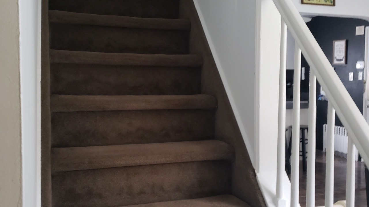 Photo of Others in Shirley