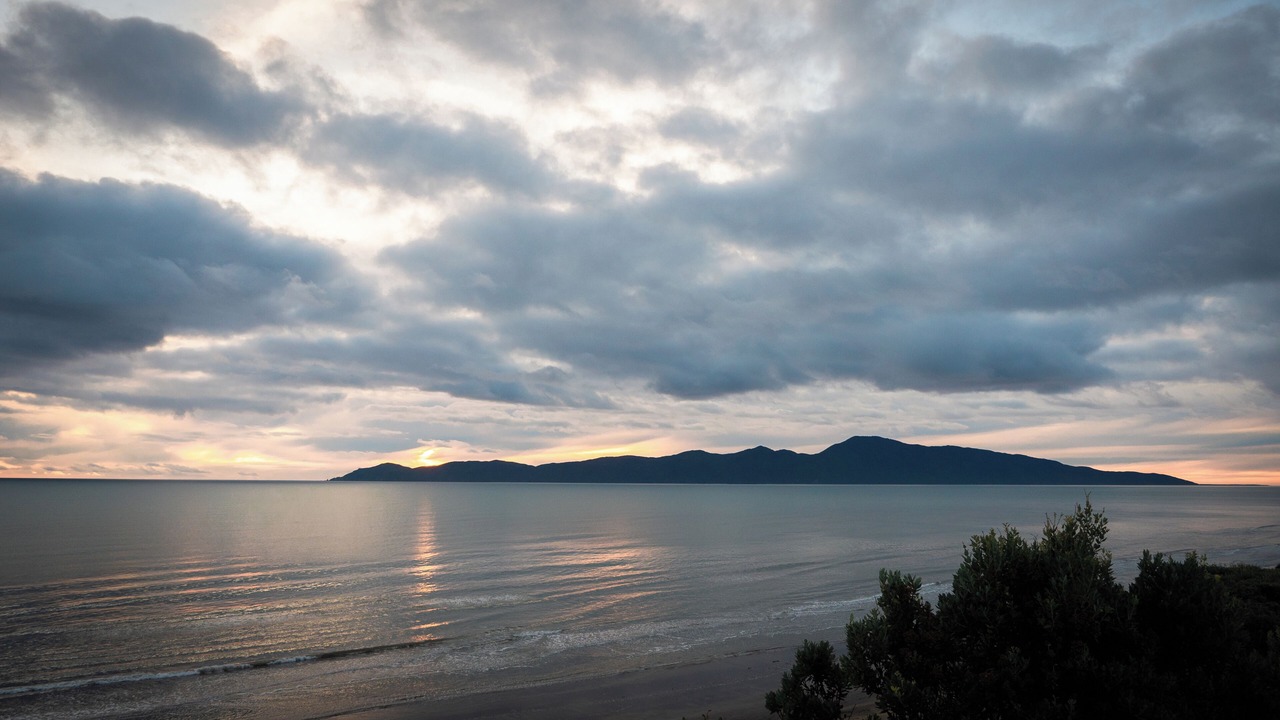 Photo of Others in Raumati South