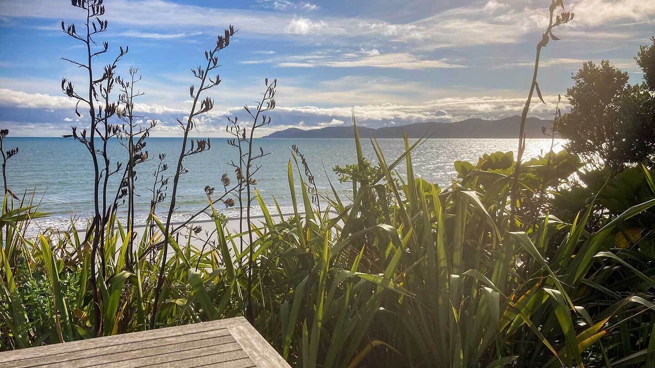 Photo of Others in Raumati South