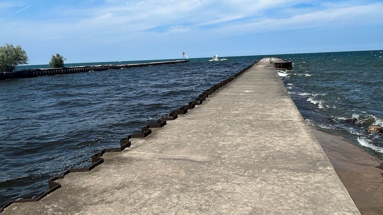 Photo of Others in Wilson