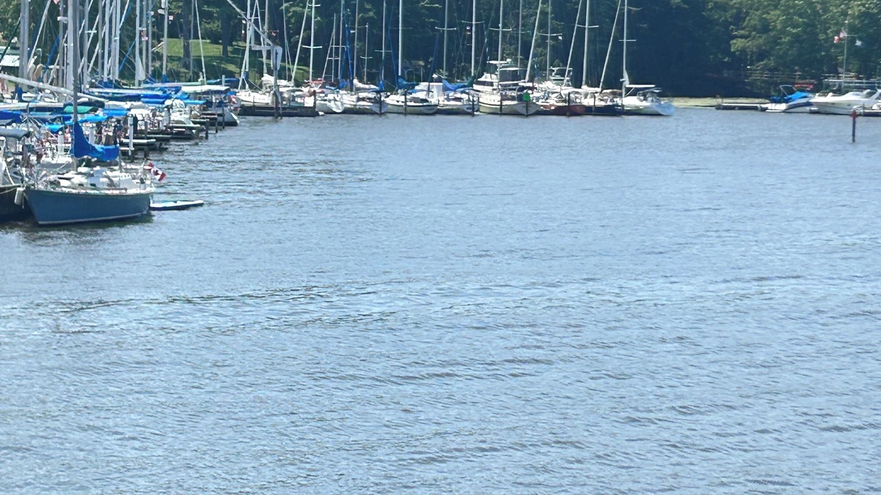 Photo of Others in Wilson