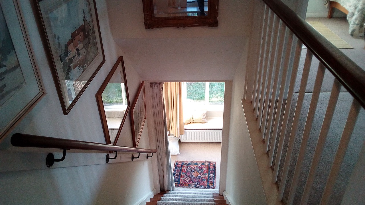 Photo of Others in Dorchester