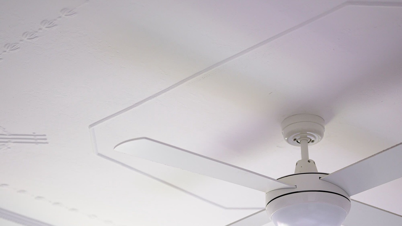 Photo of Others in Glenroi