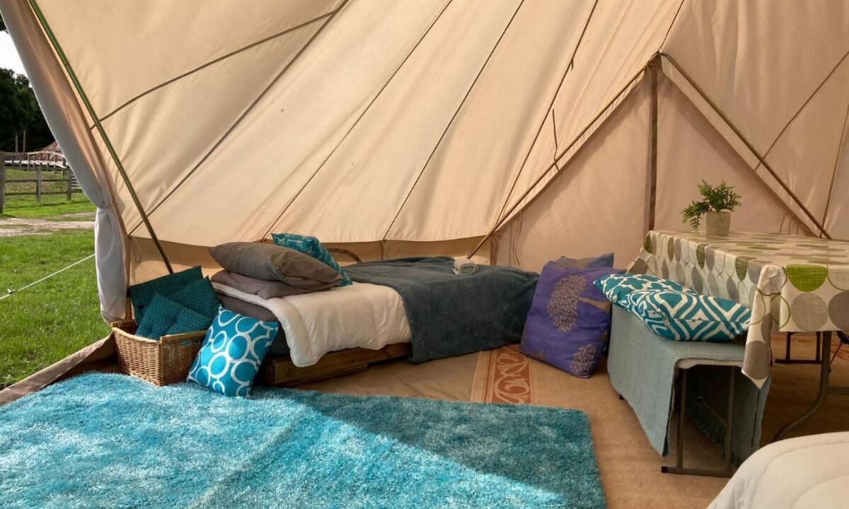 Photo of Outdoor in New Forest District