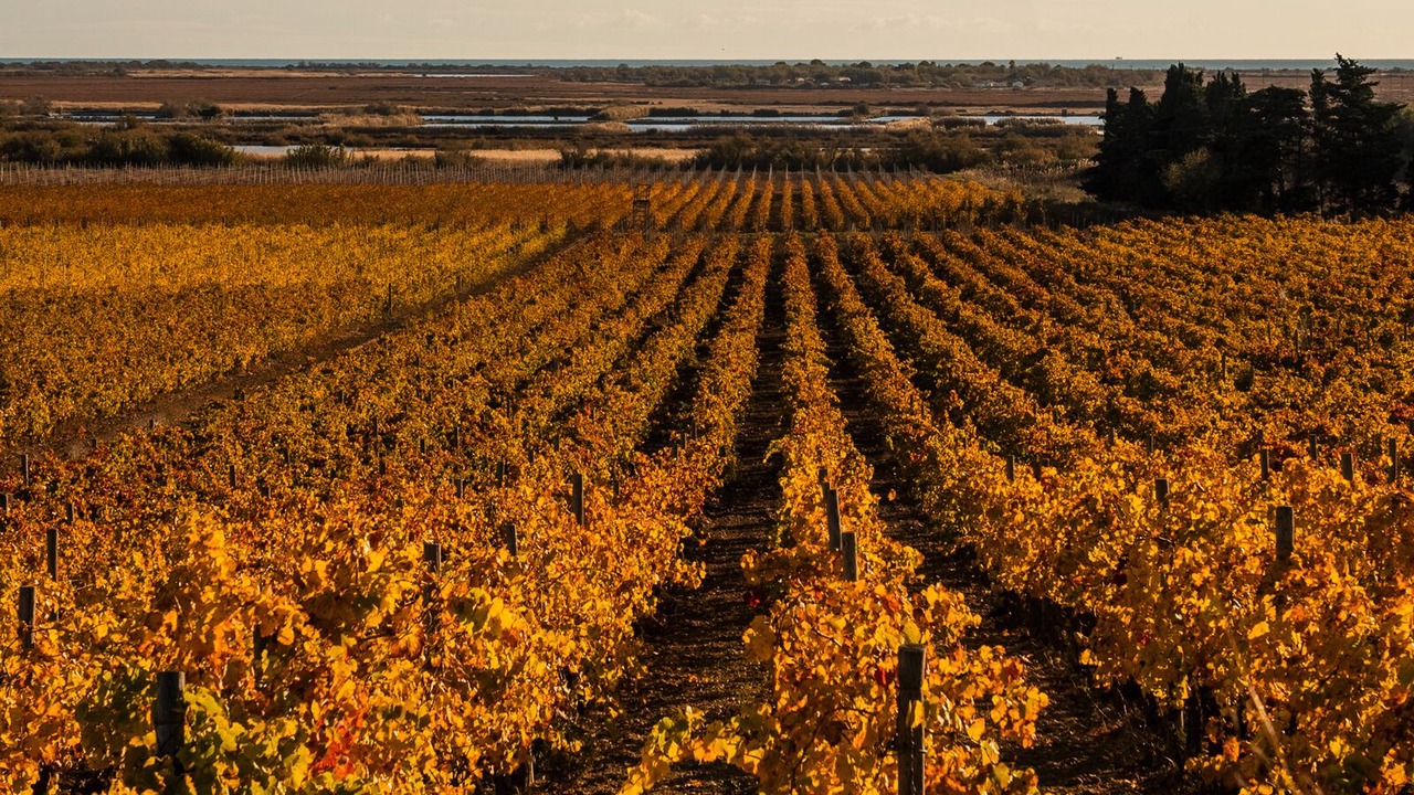 Photo of Outdoor in Fleury