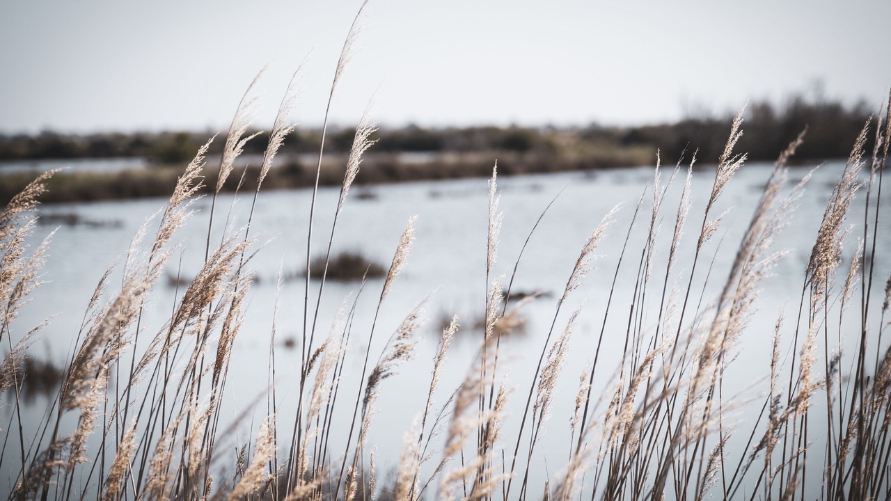 Photo of Others in Fleury