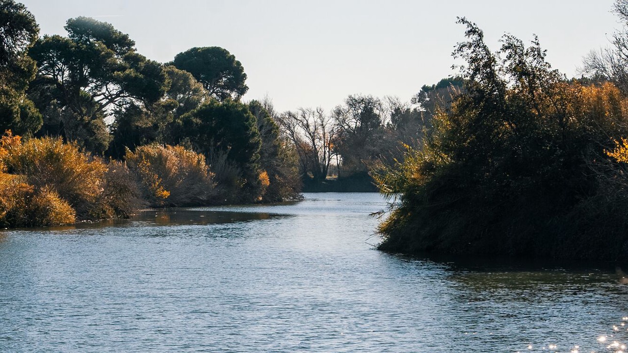 Photo of Others in Fleury