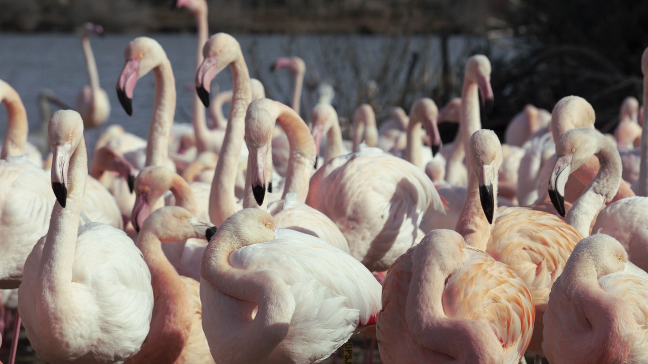 Photo of Others in Fleury