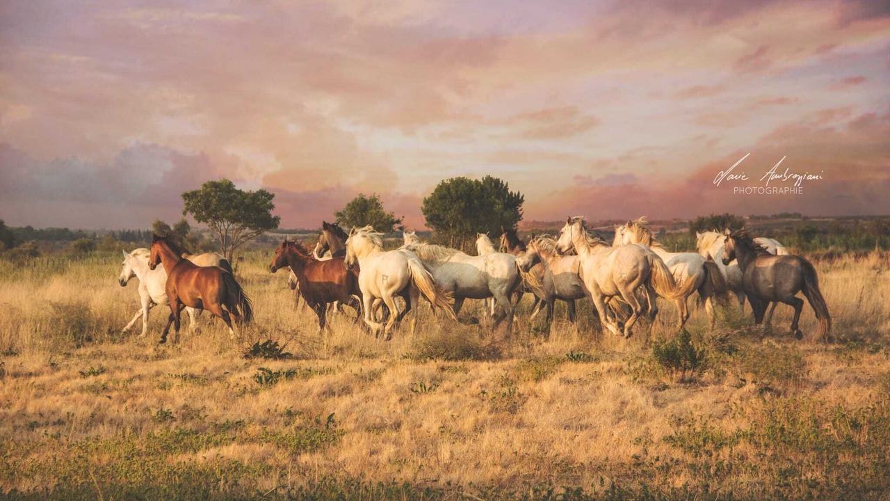 Photo of Others in Fleury