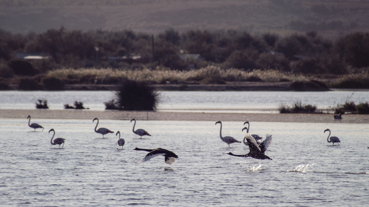 Photo of Others in Fleury