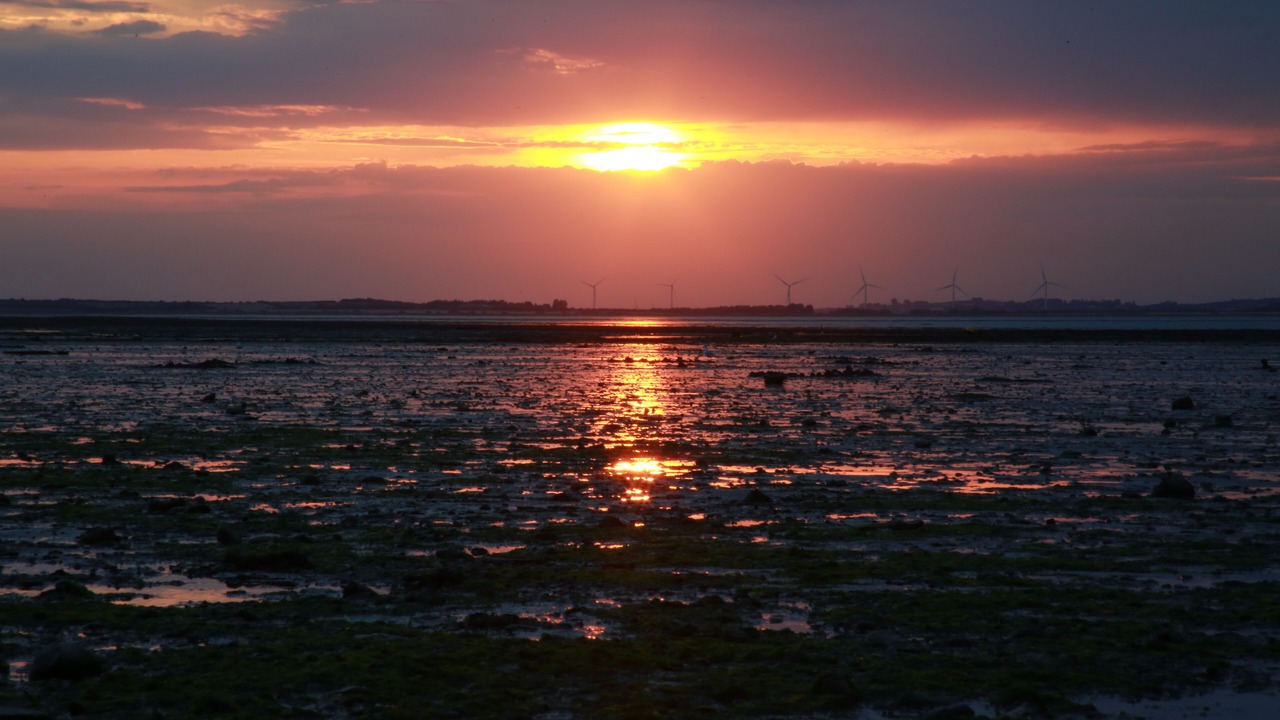 Photo of Others in Seasalter