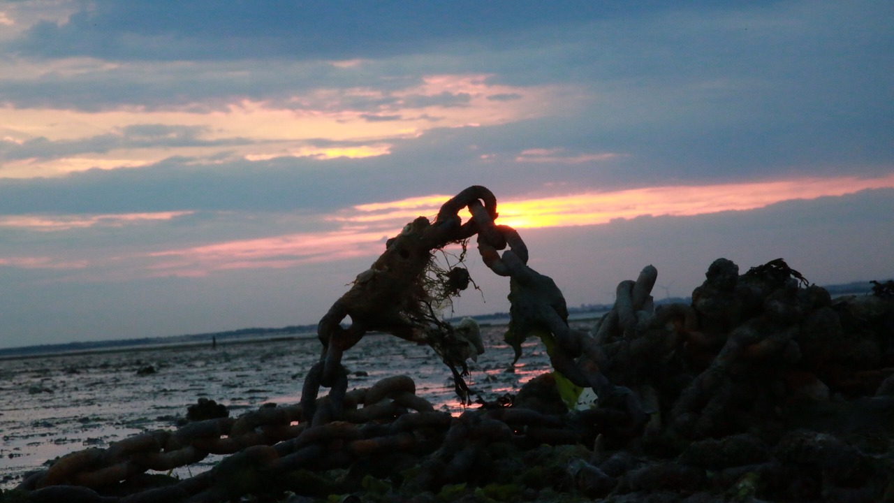 Photo of Others in Seasalter