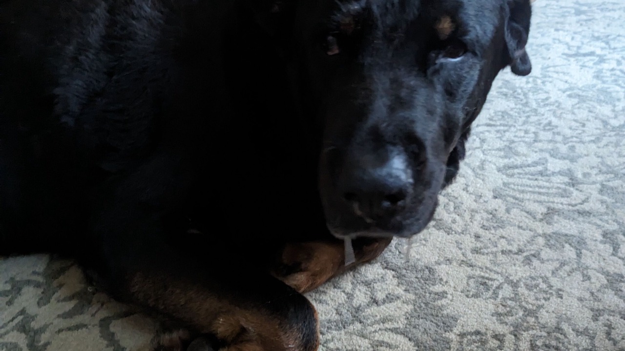 Photo of Others in Sparks Glencoe