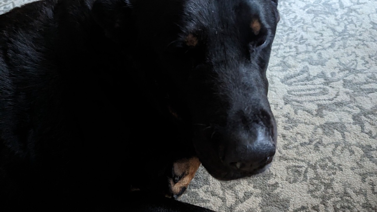 Photo of Others in Sparks Glencoe