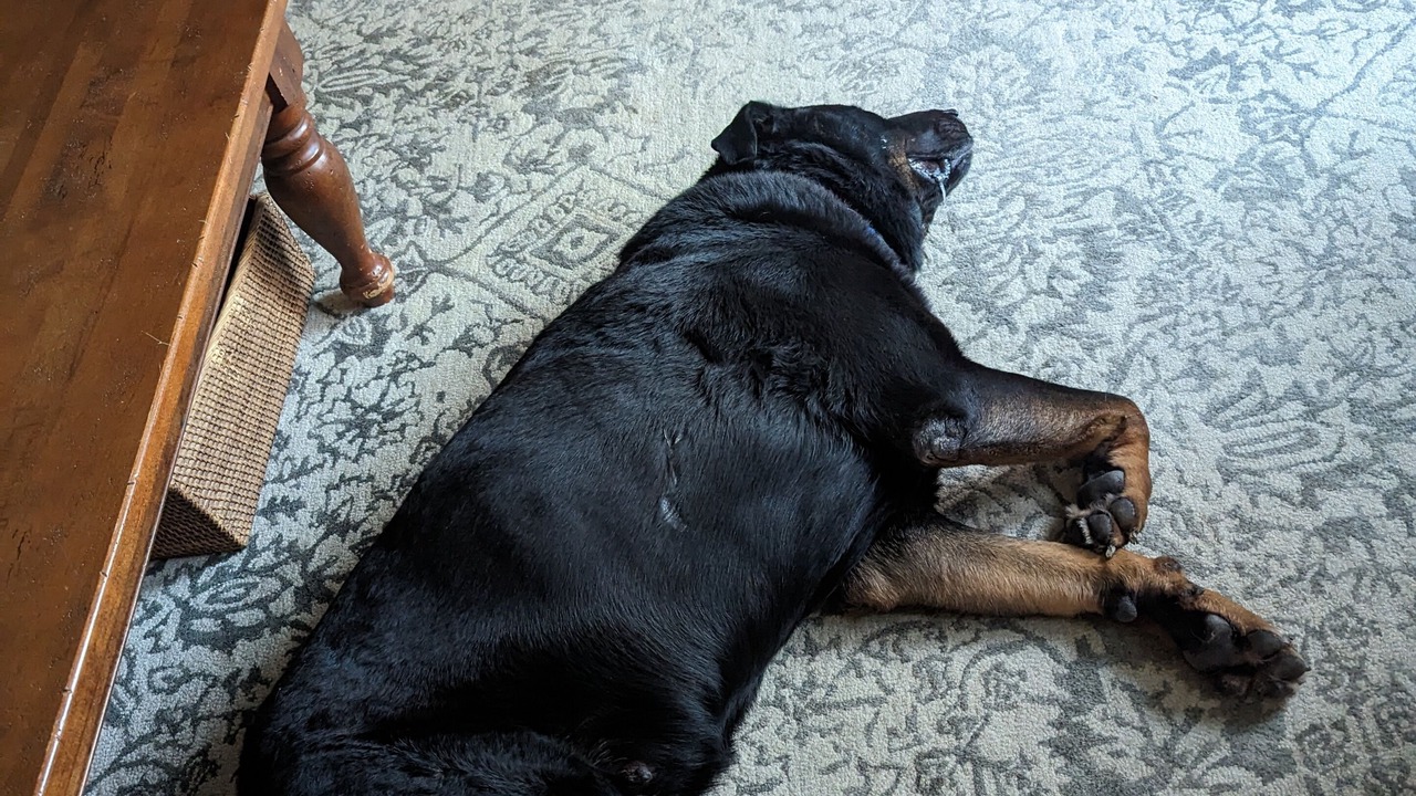 Photo of Others in Sparks Glencoe